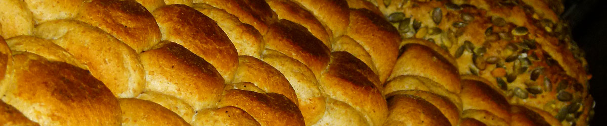 Brot-Weizen Brot-Weizen